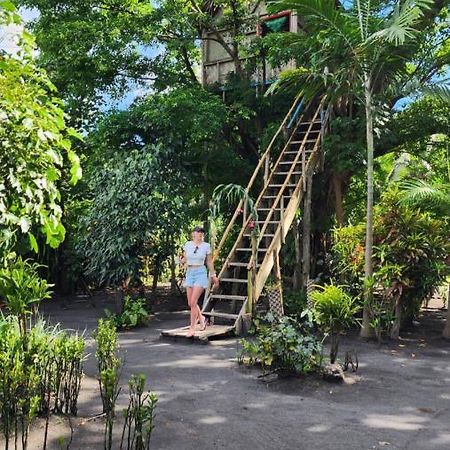 Tanna Volcano View Tree House Lenkuru ภายนอก รูปภาพ