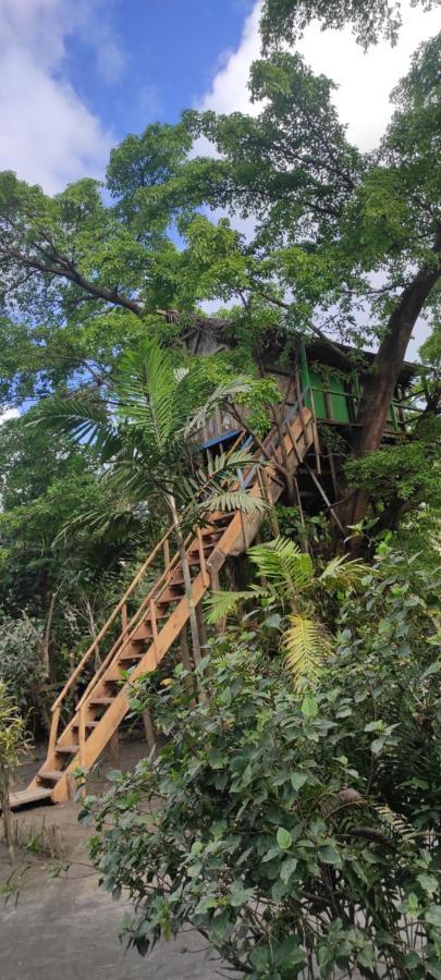 Tanna Volcano View Tree House Lenkuru ภายนอก รูปภาพ