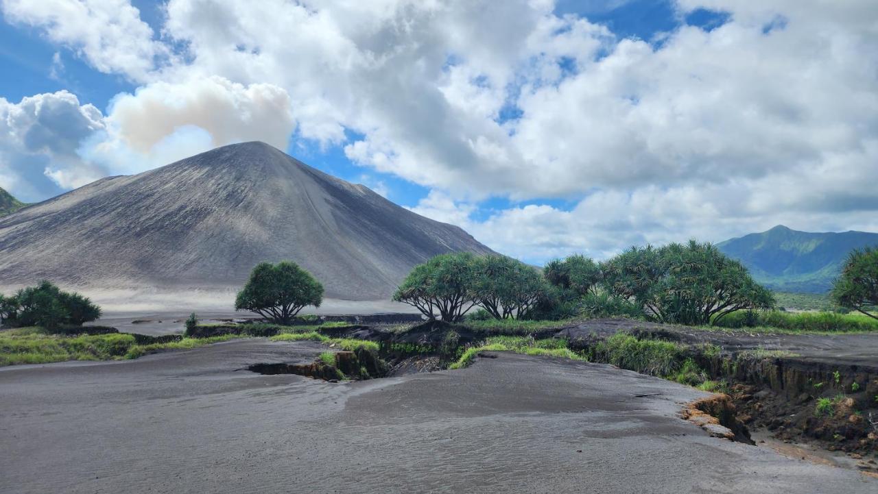 Tanna Volcano View Tree House Lenkuru ภายนอก รูปภาพ