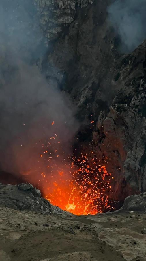 Tanna Volcano View Tree House Lenkuru ภายนอก รูปภาพ